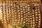 Romania, Carpathian Mountains, Prahova County, Sinaia. Braids of Garlic drying. Art Print